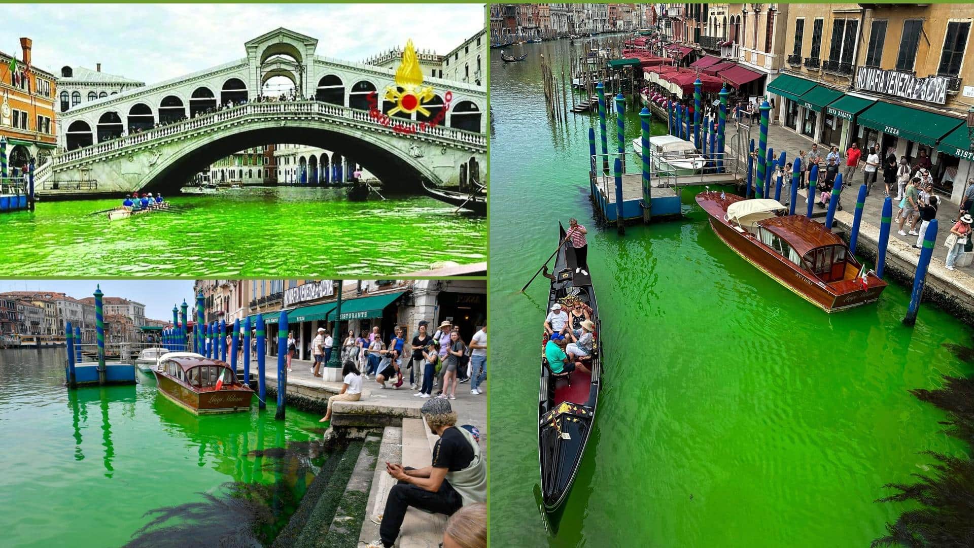 Venice canal has turned green, and no one knows why