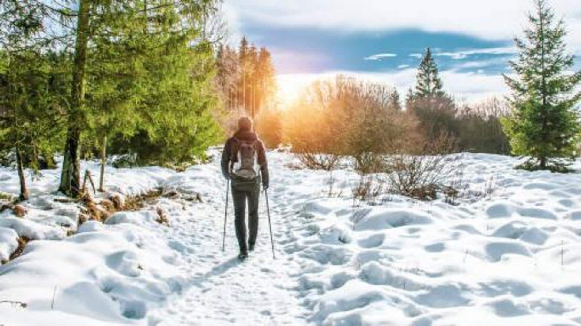 Top hiking trails to explore in Quebec City 