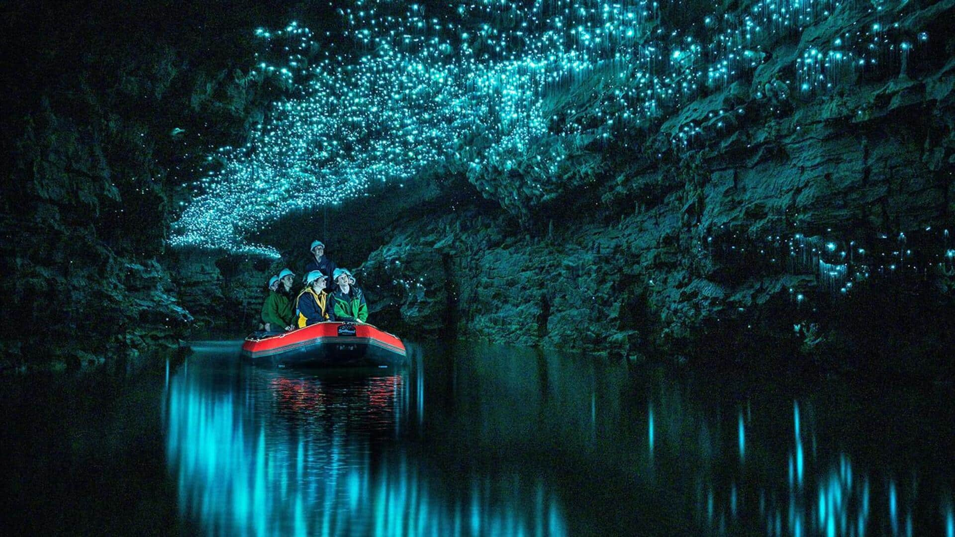 Embark on a magical journey in Waitomo, New Zealand