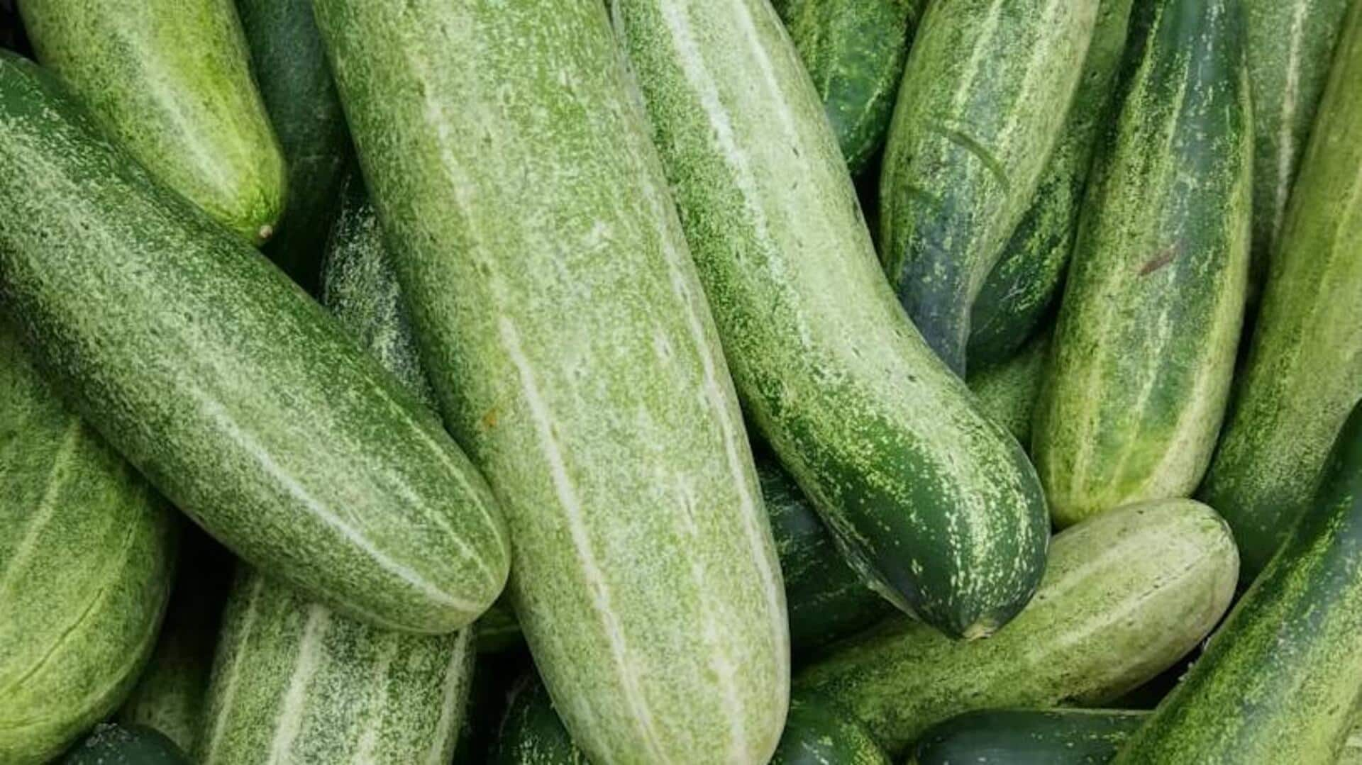 Growing refreshing cucumbers on trellises at home