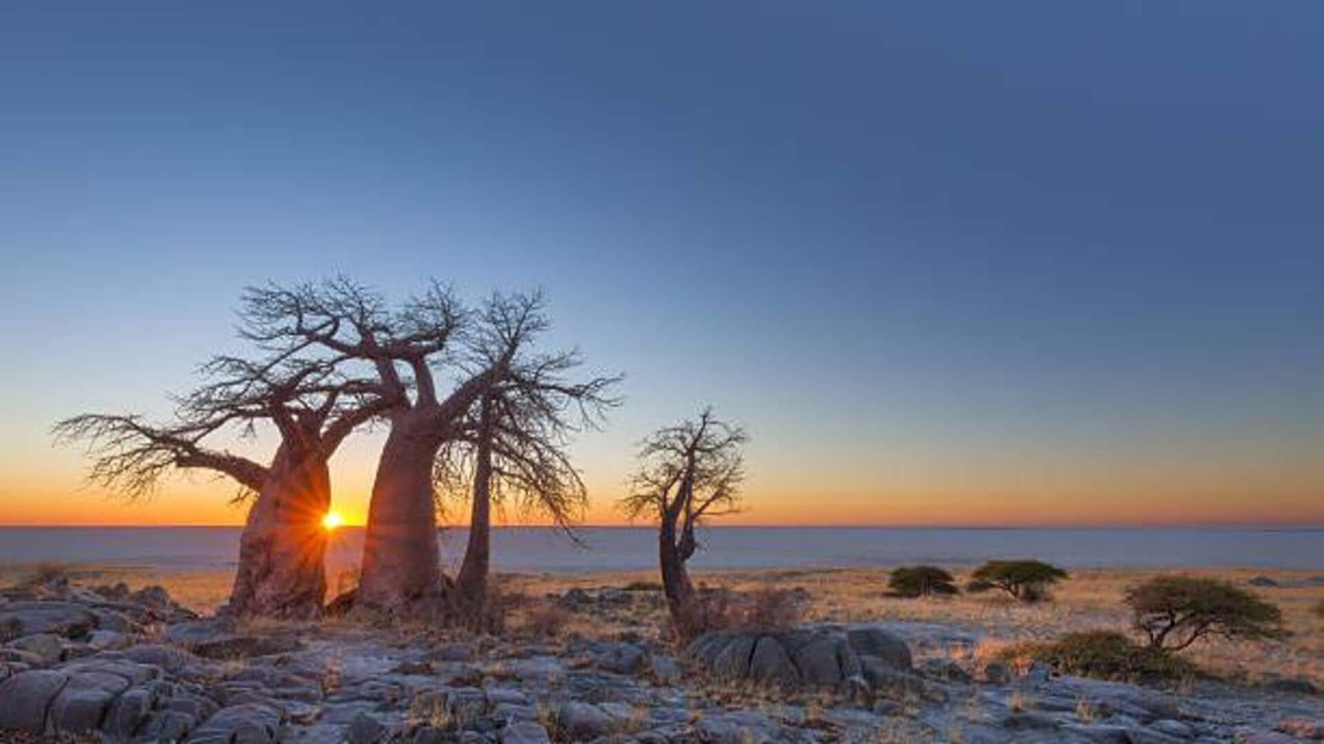 5 lesser-known spots to discover in Botswana 
