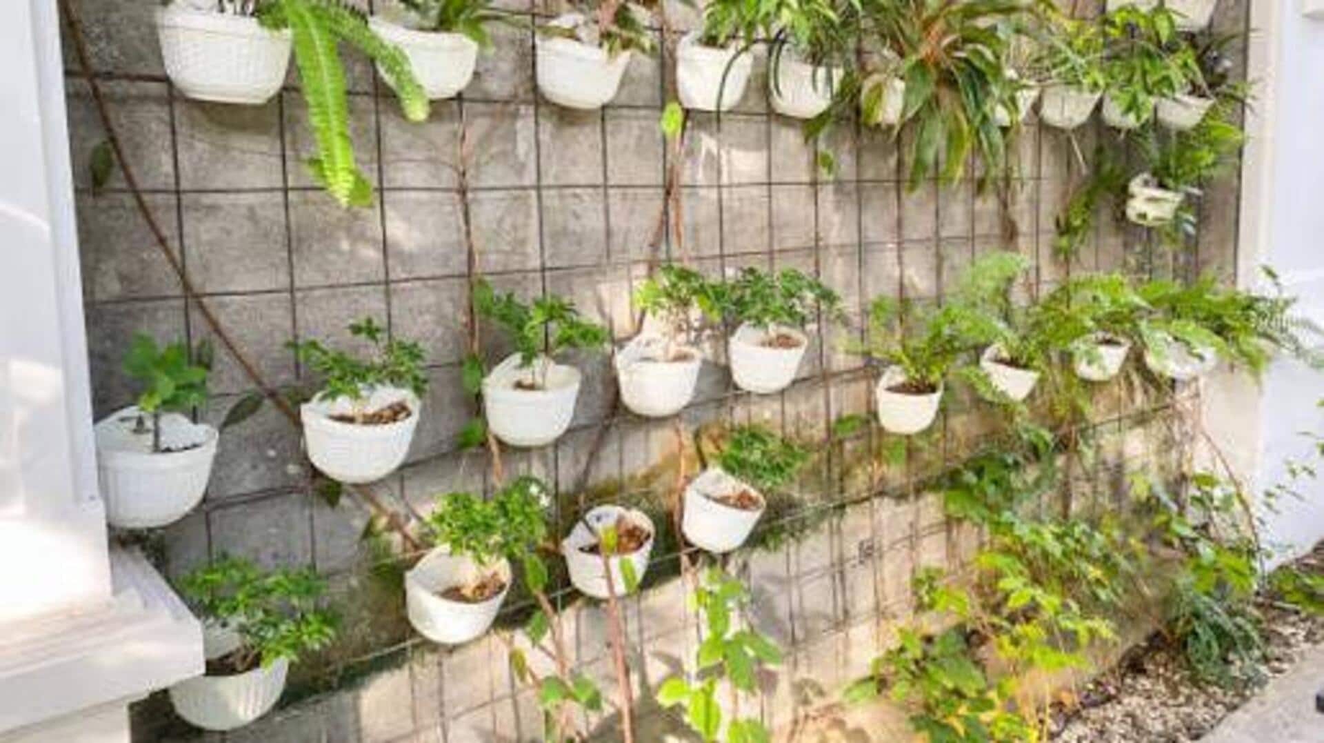 How to grow spinach in vertical wall planters