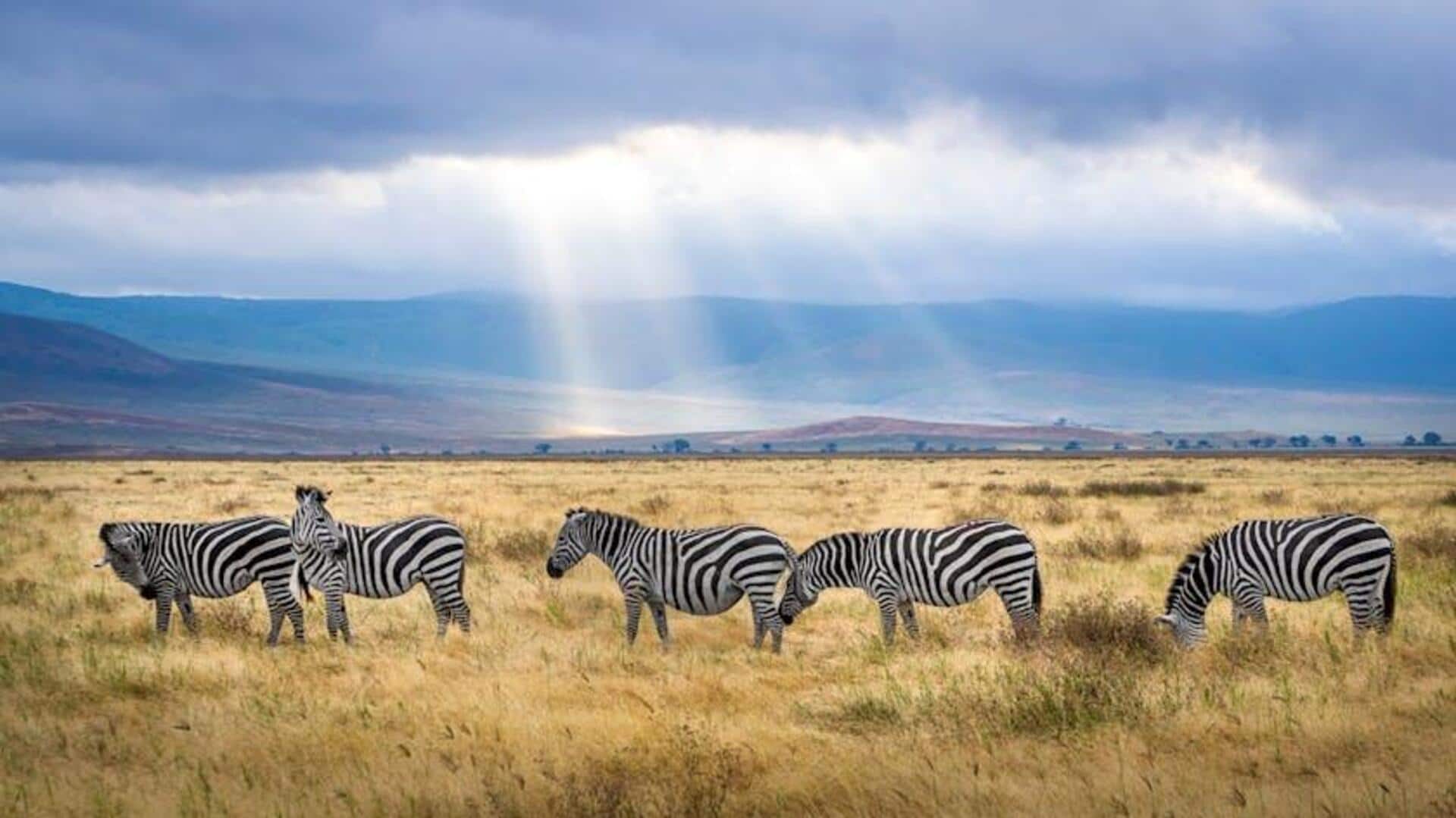 5 amazing ways to experience Africa 5 amazing ways to experience Africa
