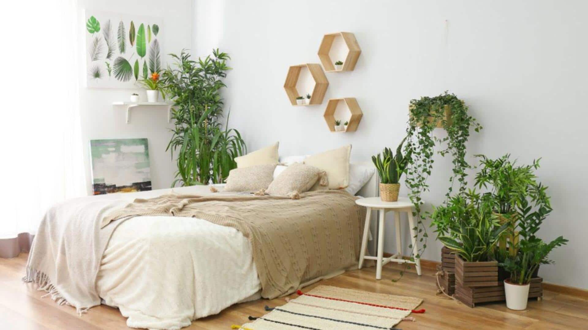 Living room decor 101: 5 sculptural plants to try