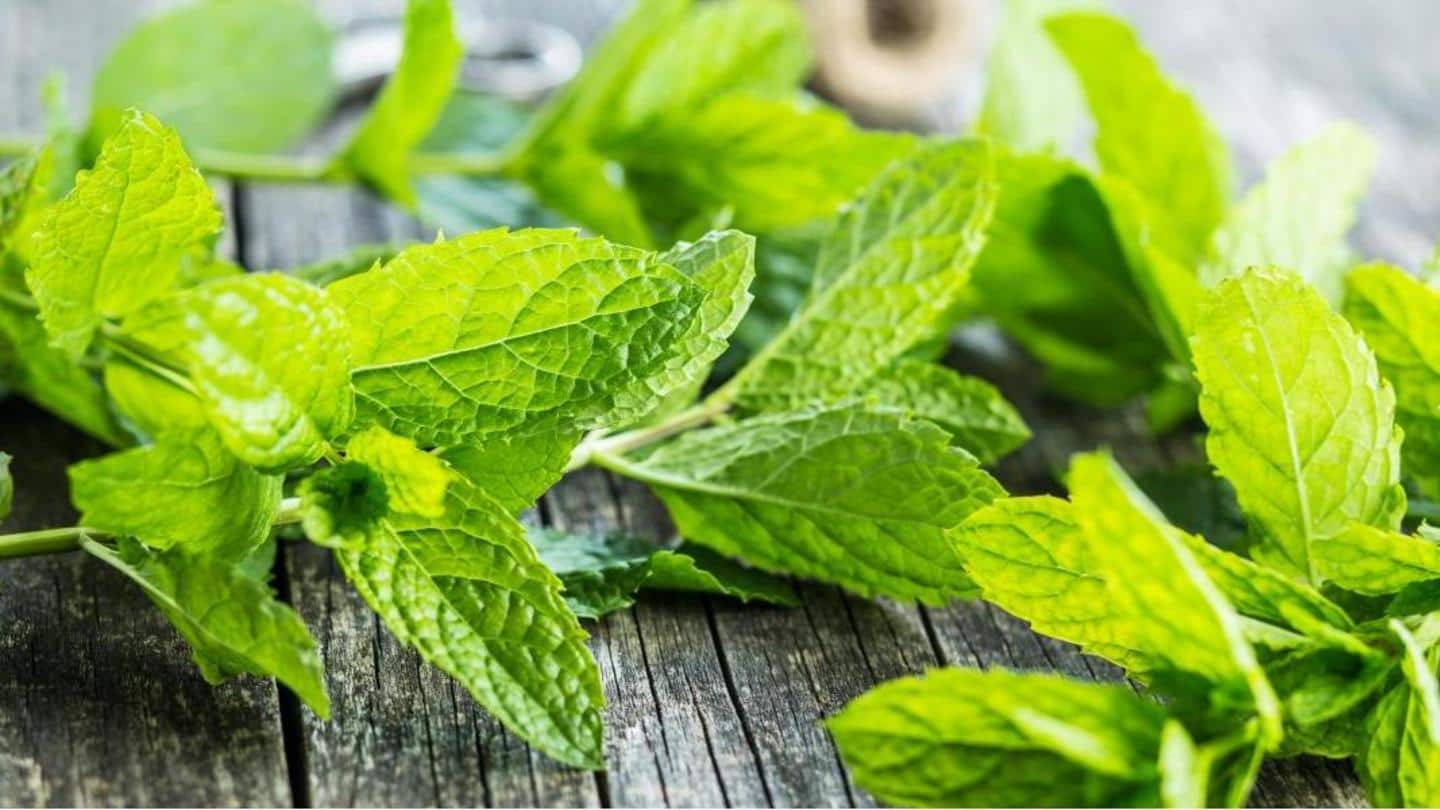 Mint leaves can also leave your house smelling fresh Mint leaves can also leave your house smelling fresh