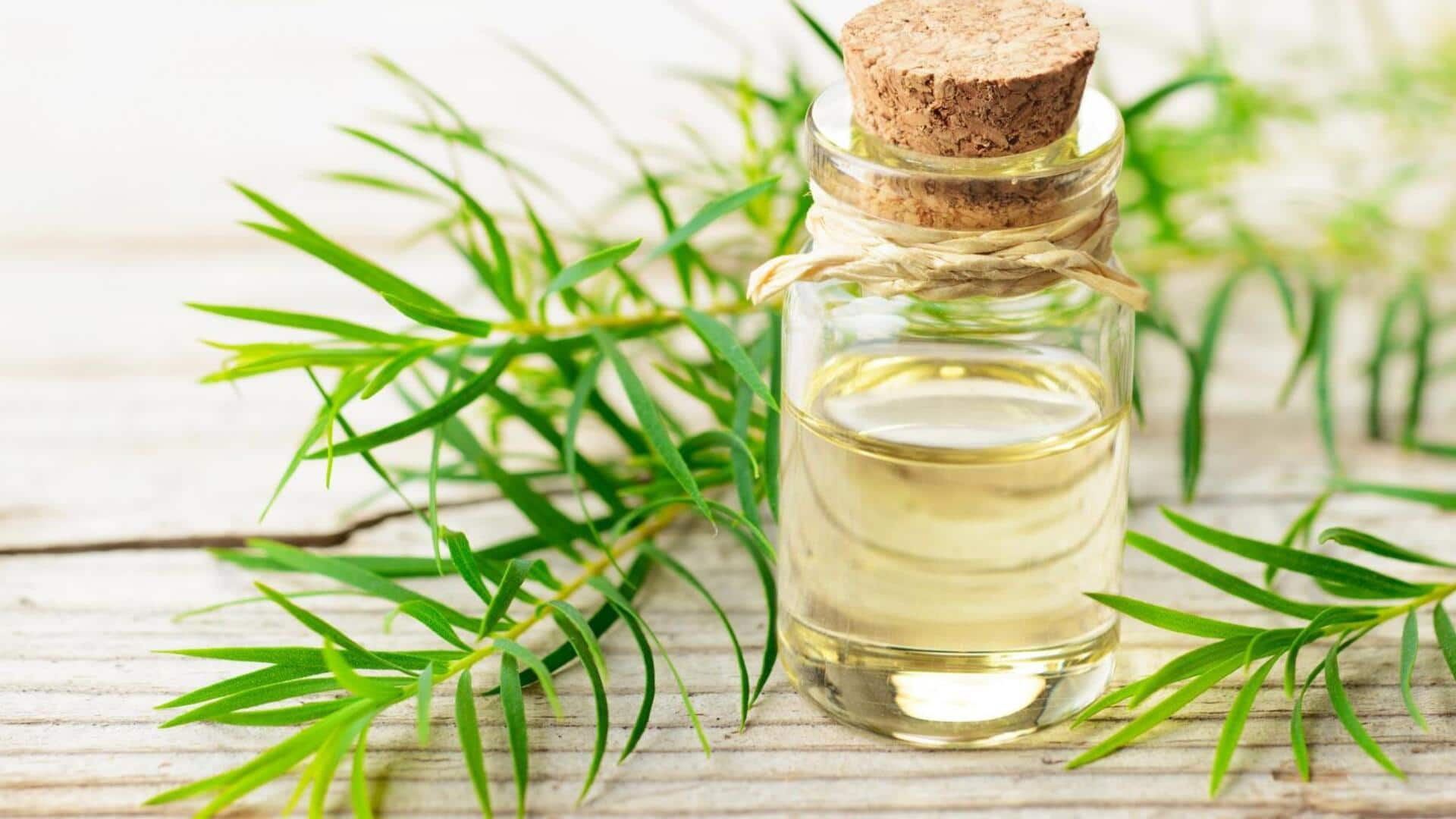 Tea tree oil treatments: Scalp soothing solutions