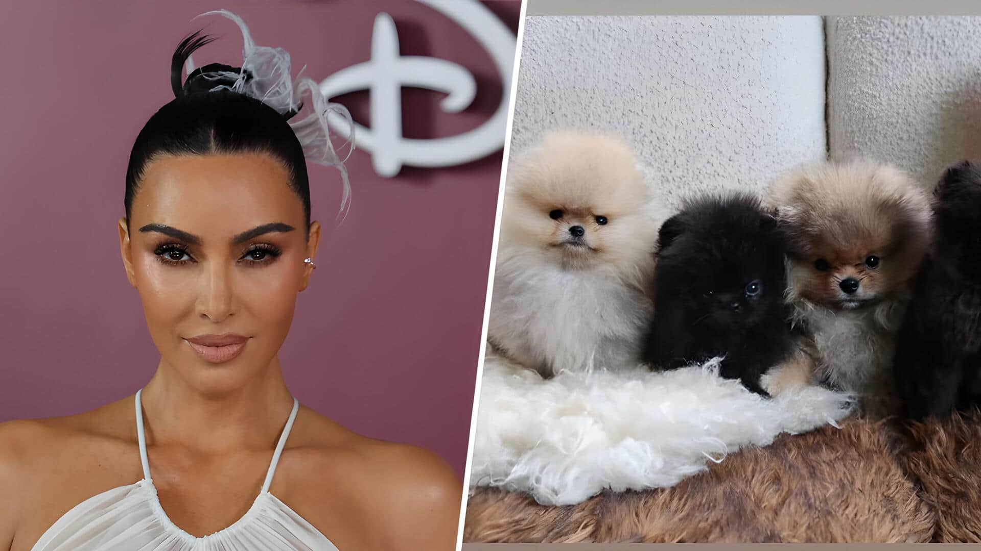 Kim Kardashian faces PETA backlash for gifting puppies to kids