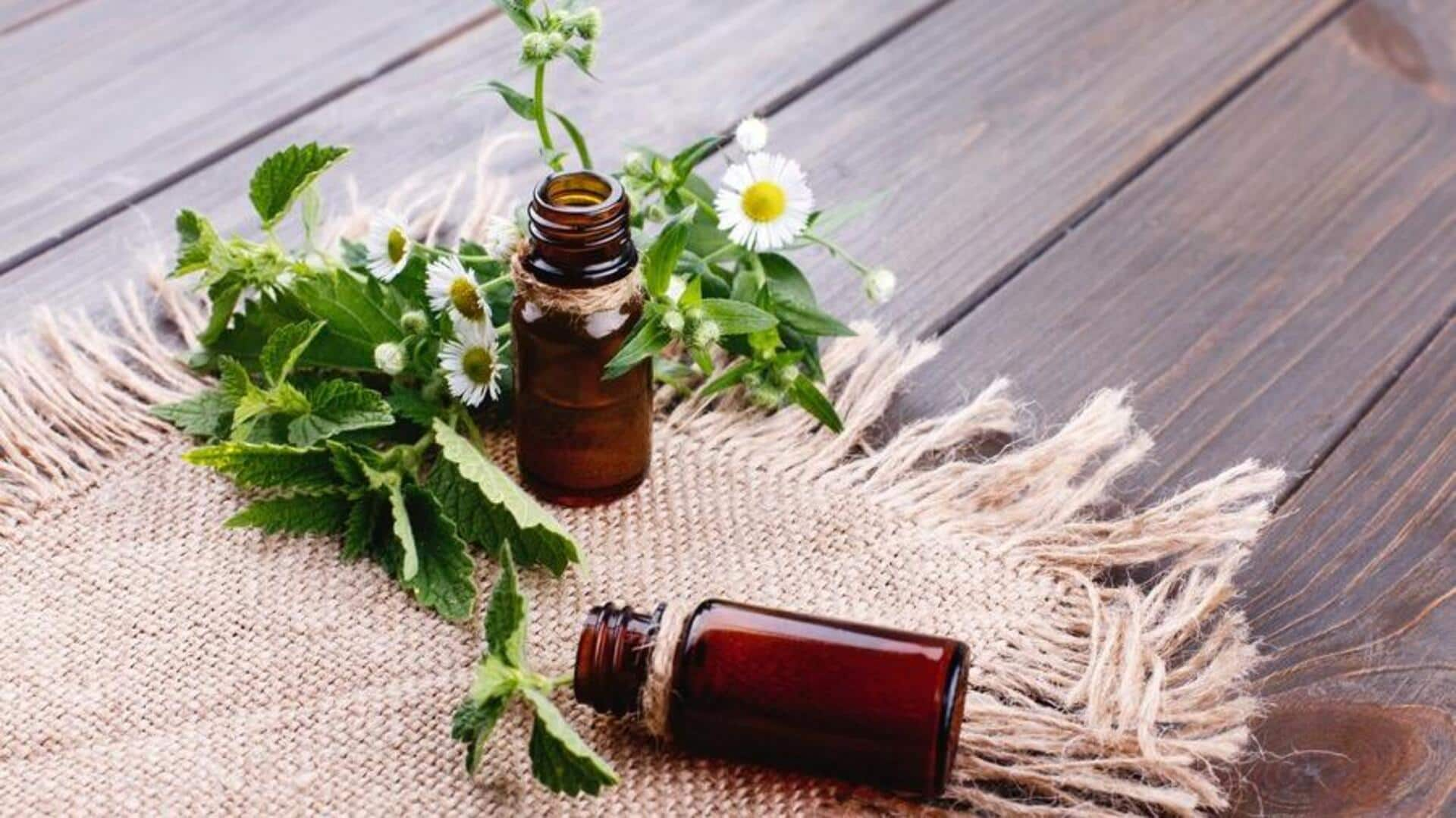 Enhancing natural insect repellent with catnip oil