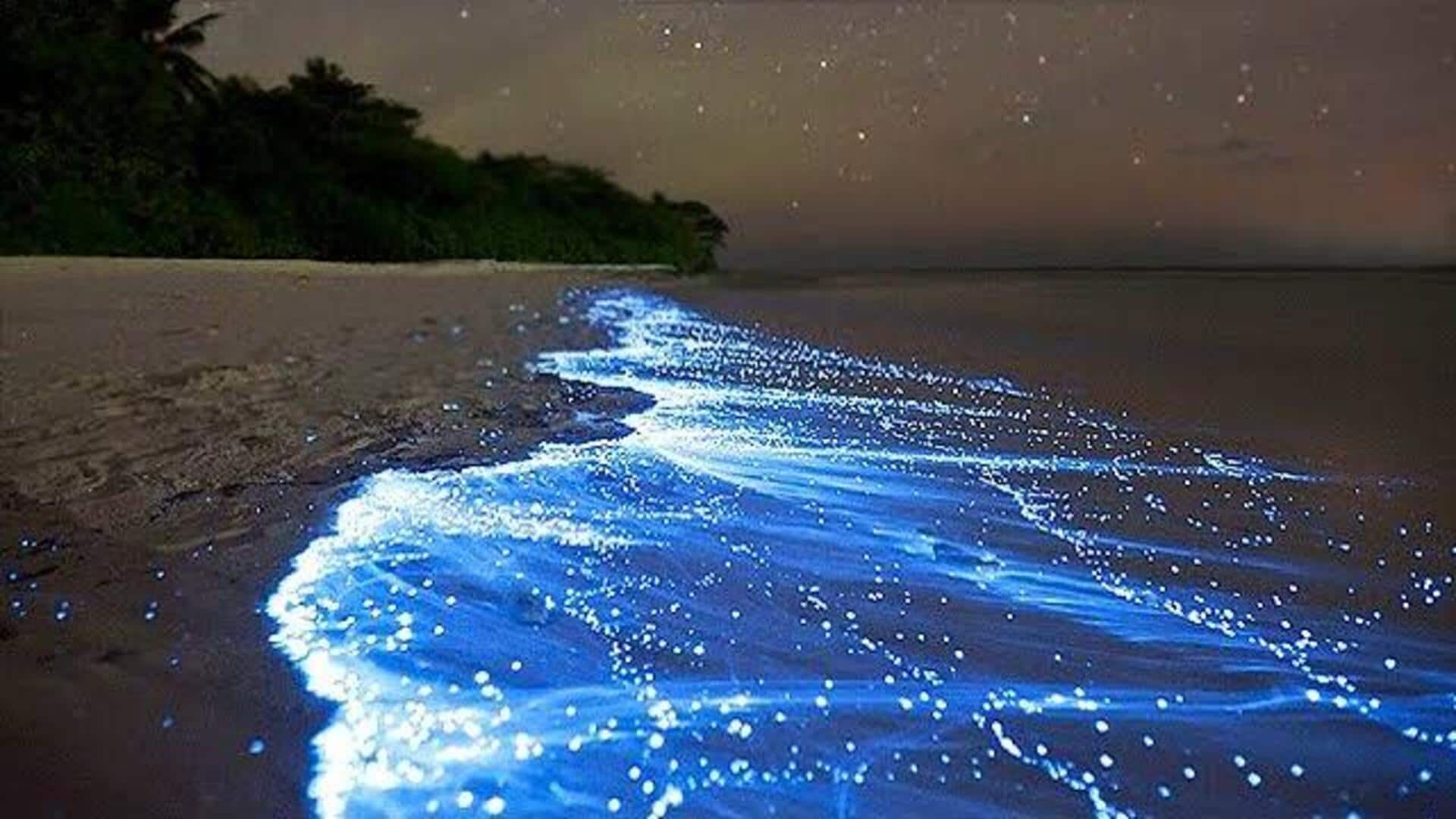 Experience the bioluminescent glow in the Maldives