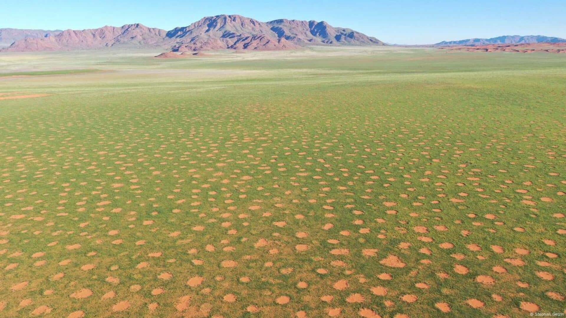 Fairy circles mystery tour: Namibia's natural enigma