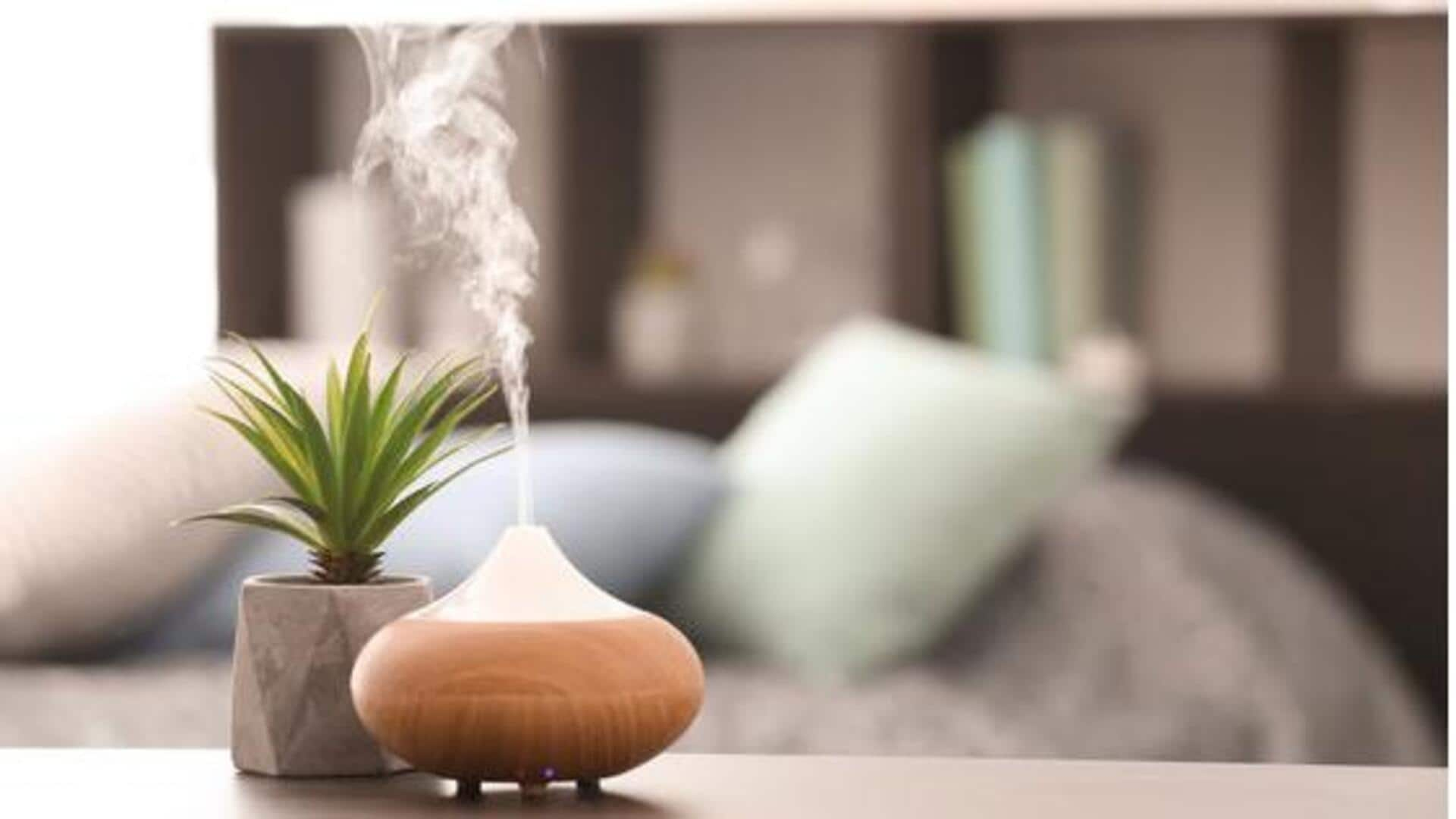 Elevate your space: Your diffuser needs this now