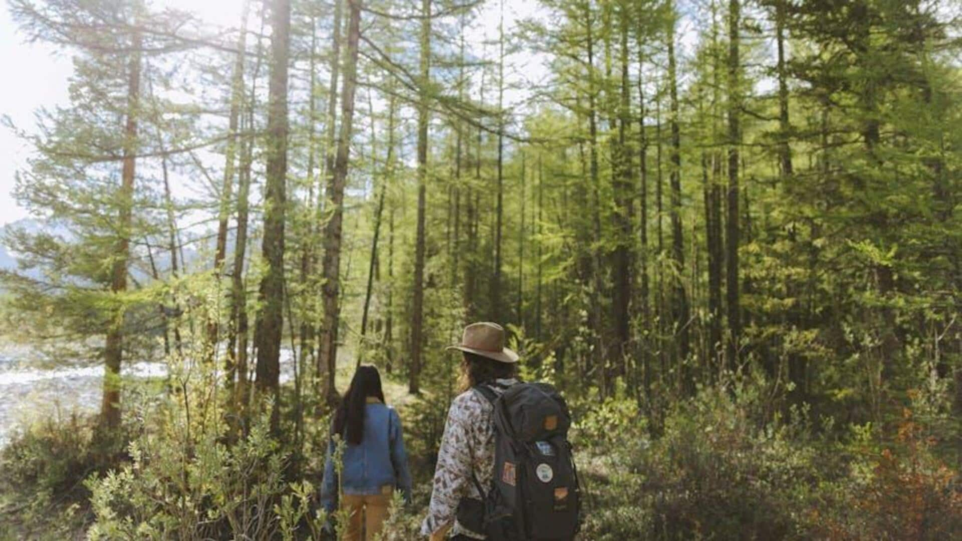 Leaf vein treks: Where science meets mindfulness 