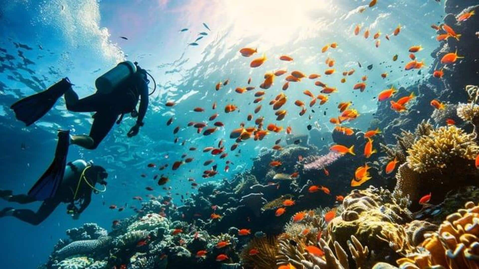 Coral maze snorkeling: Oceanic labyrinth exploration