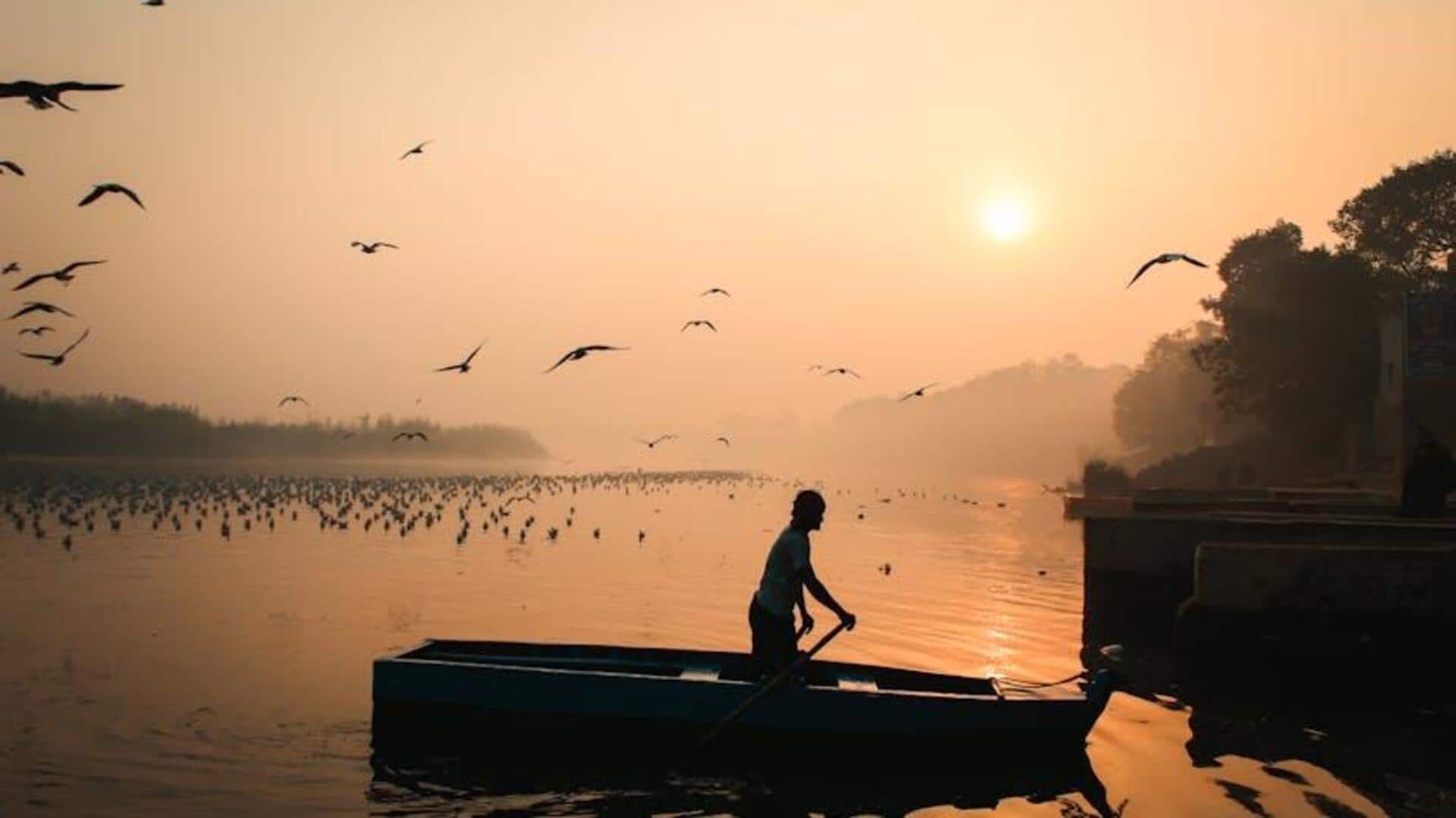 Walking v/s rowing: Which is better for your fitness? Walking v/s rowing: Which is better for your fitness?