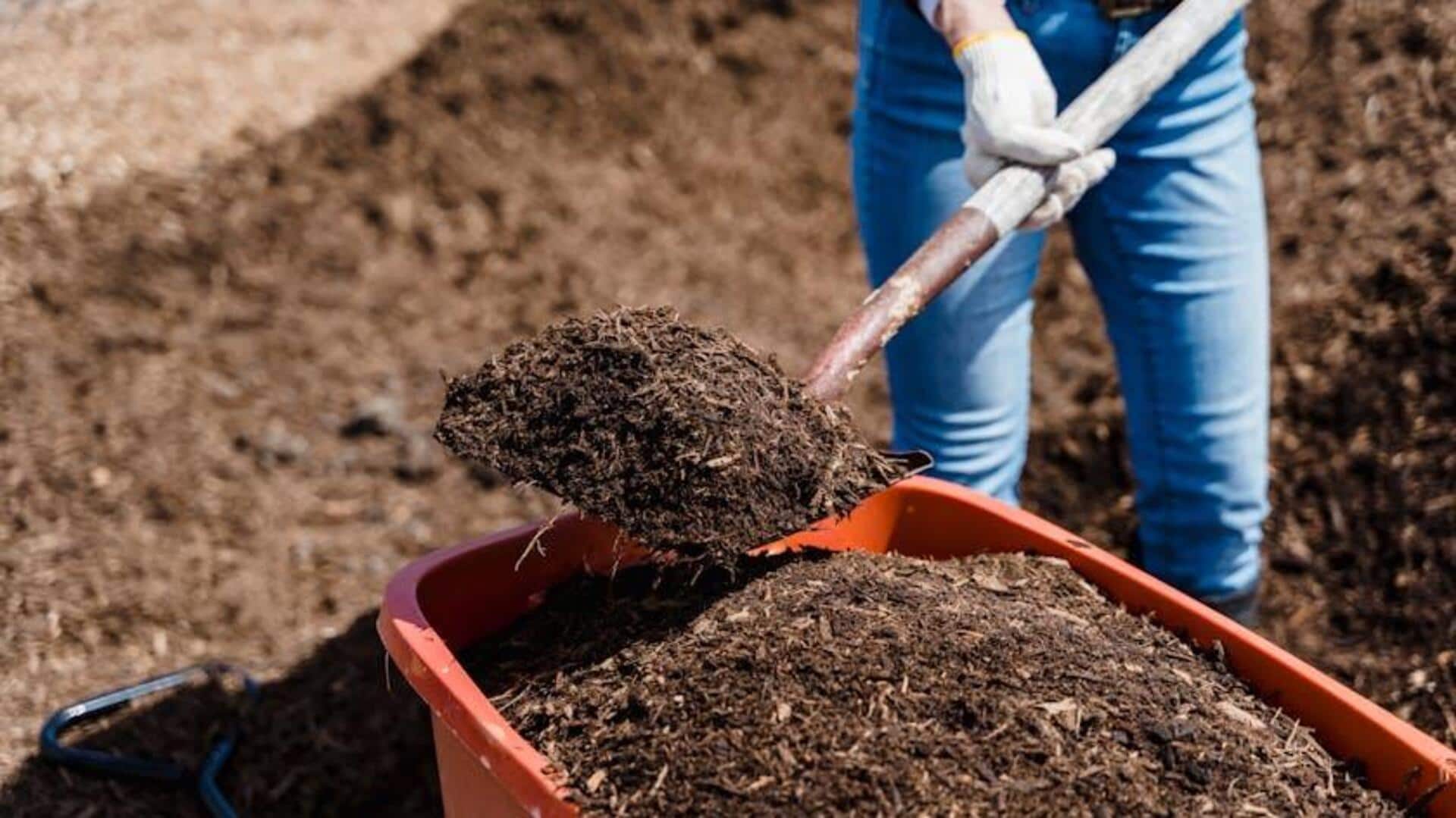 Gardening 101: Composting hacks you didn't know Gardening 101: Composting hacks you didn't know