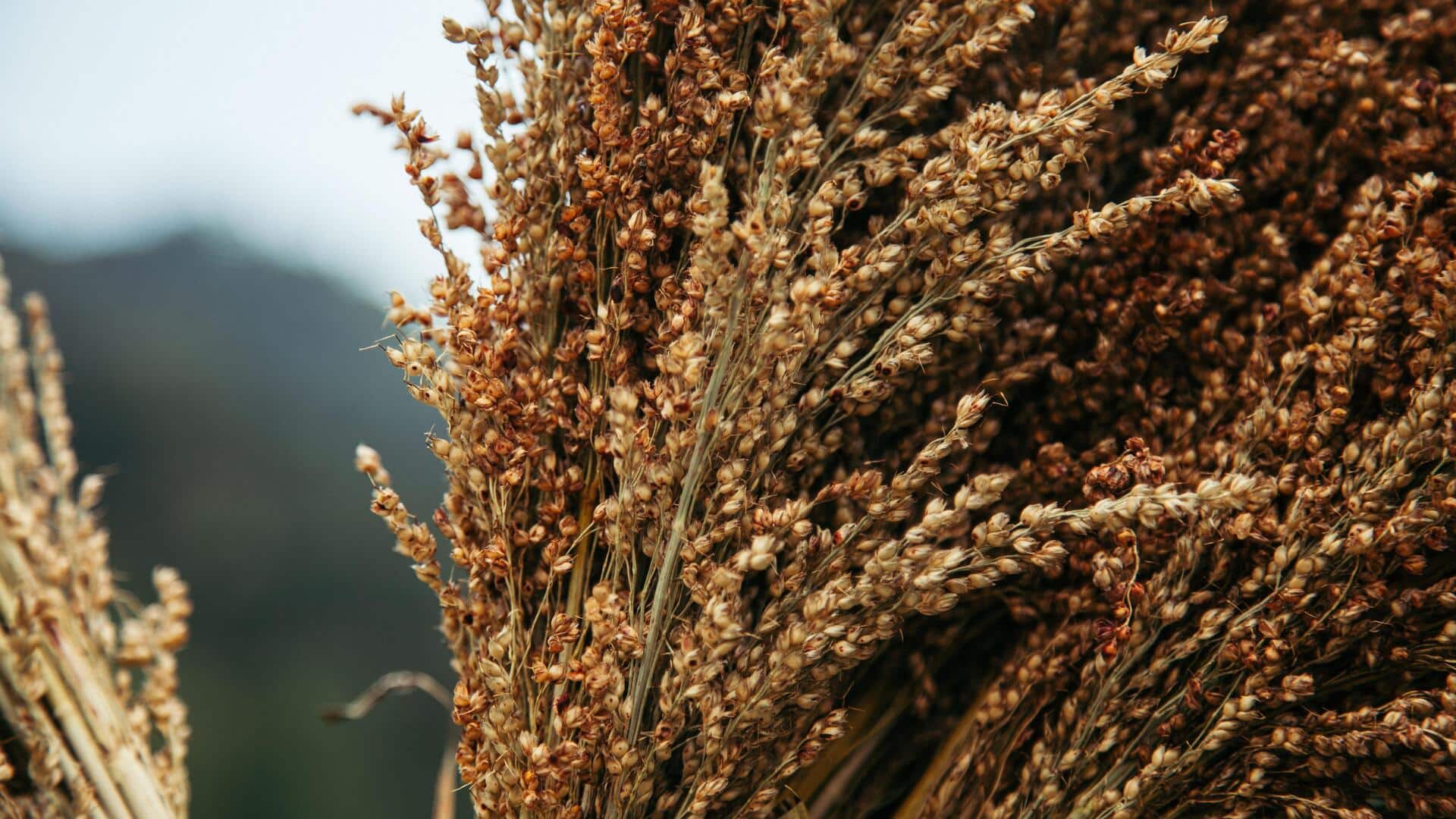 Healthy ancient grains to add to your diet