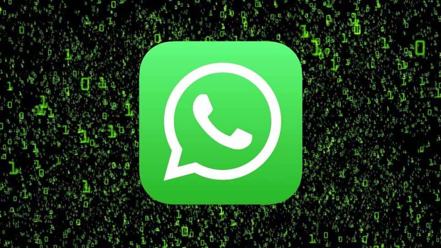 WhatsApp introduces in-built feature to appeal bans: How to use