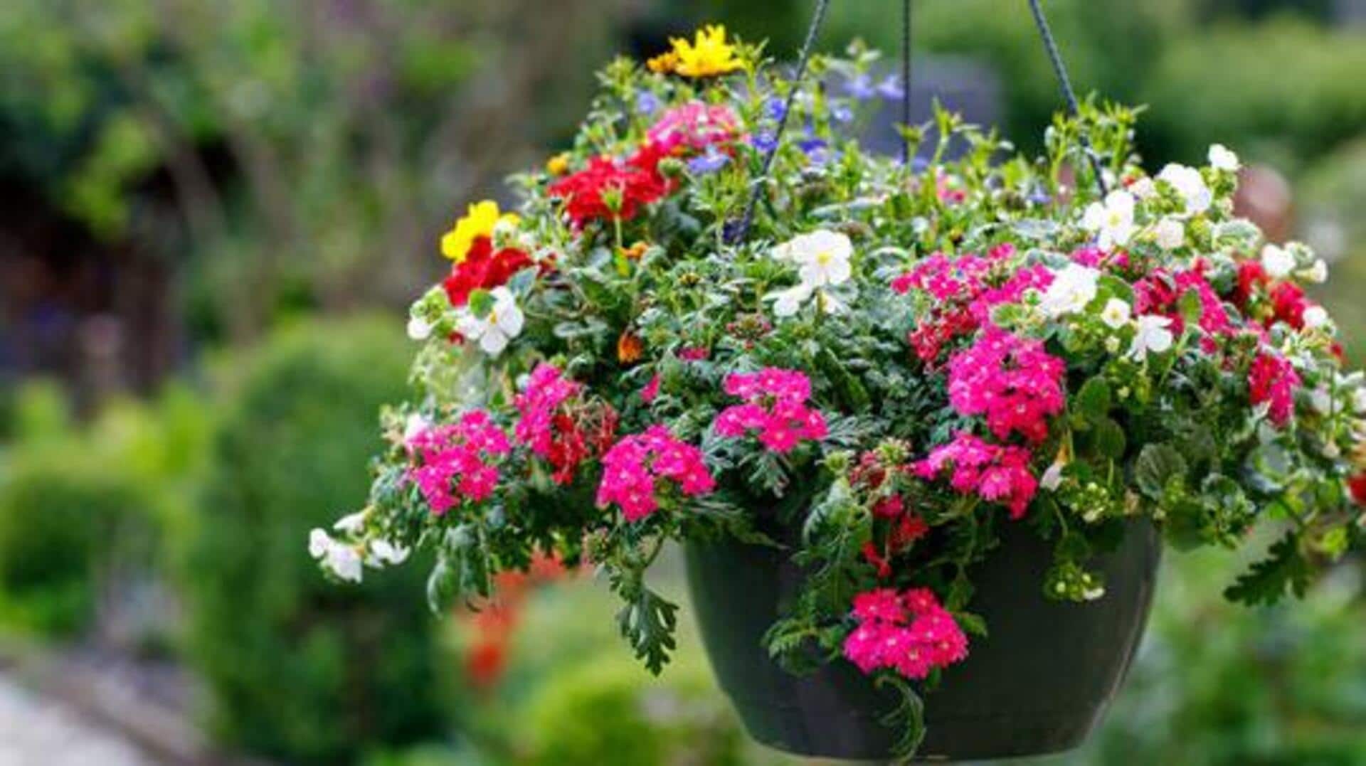 How to revamp old baskets: 5 ideas How to revamp old baskets: 5 ideas