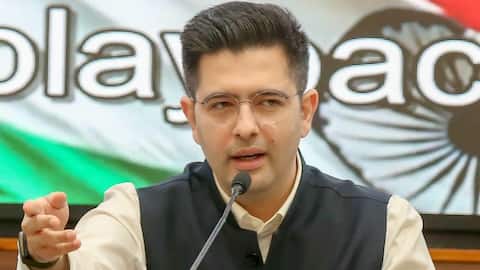 Delhi HC orders removal of 5 documents against Raghav Chadha 