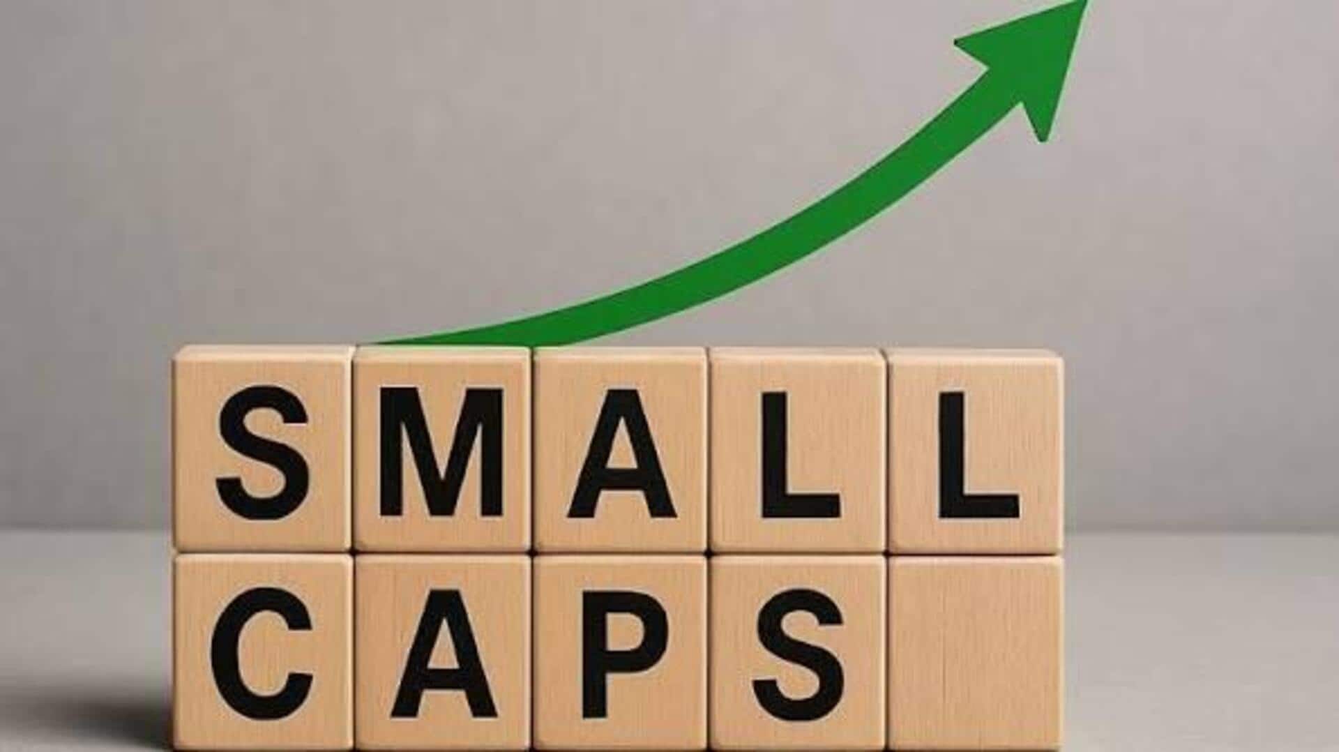 Small-cap funds: What investors should know 