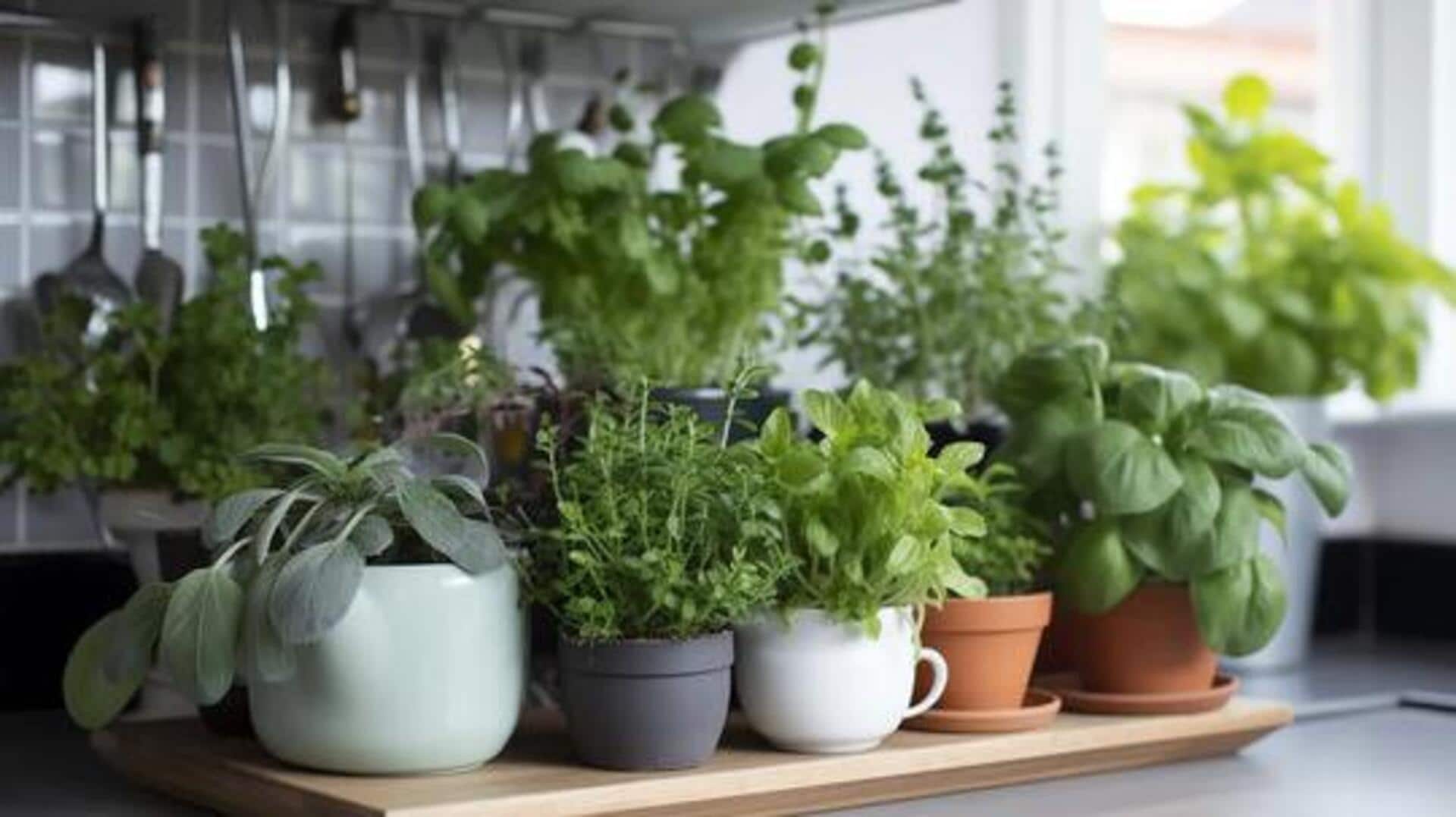Herb gardening is no longer a hassle, thanks to AI 