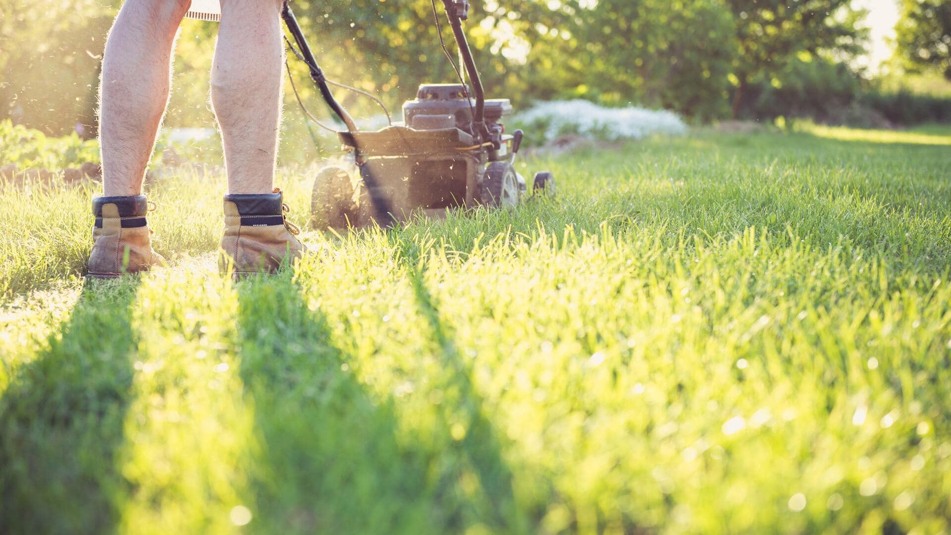 5 surprising benefits of mowing your lawn