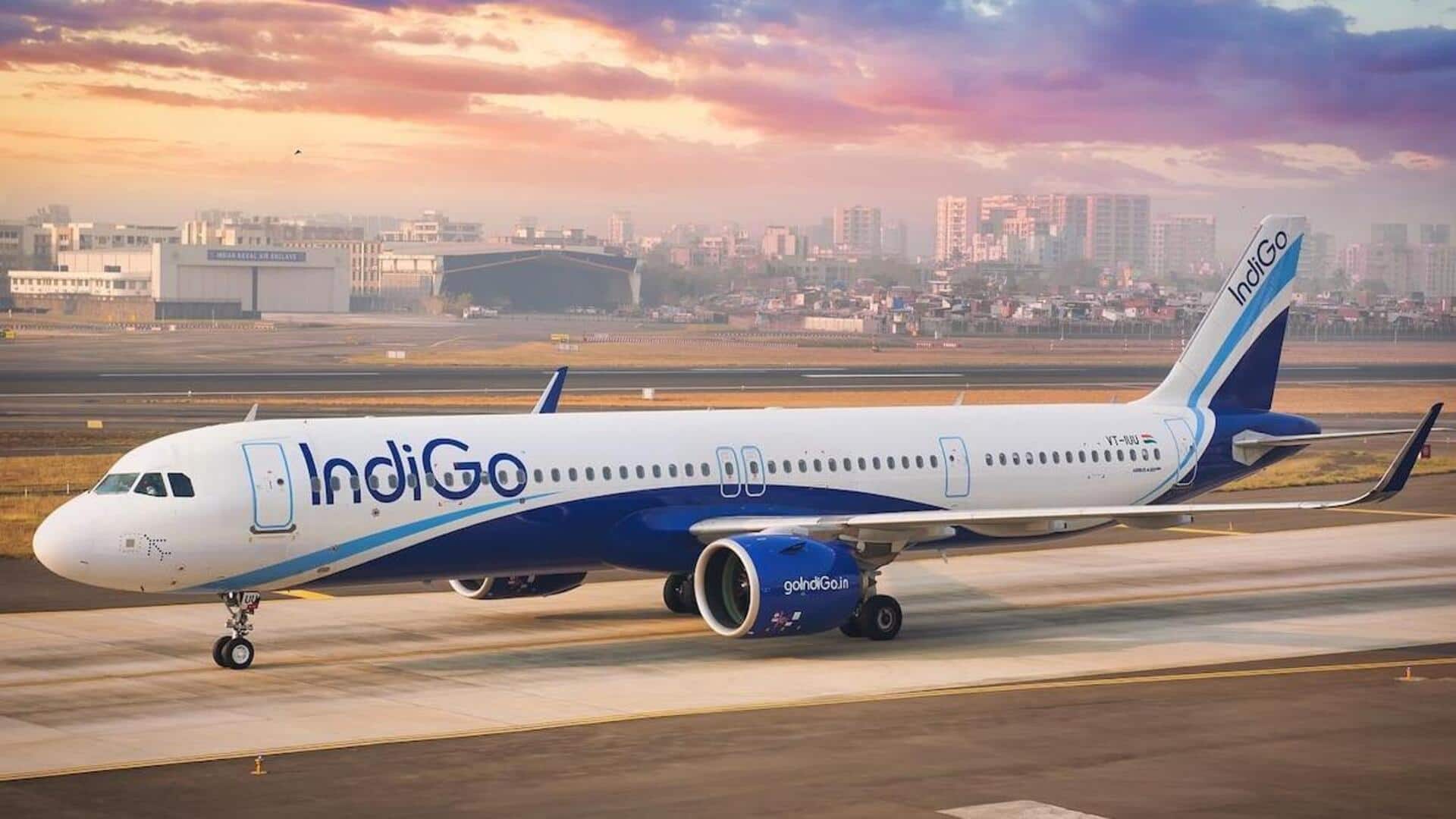 IndiGo Q2 results: Airline back in profit, revenue up 19.5%
