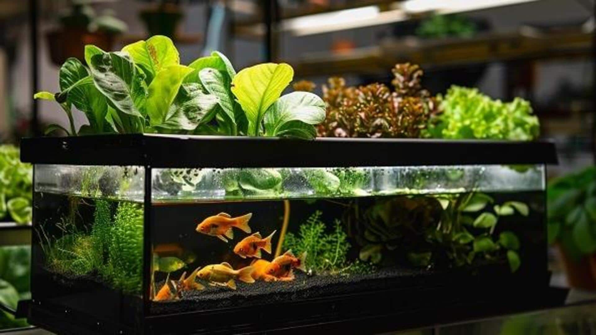 Hosting a captivating indoor aquaponics workshop event