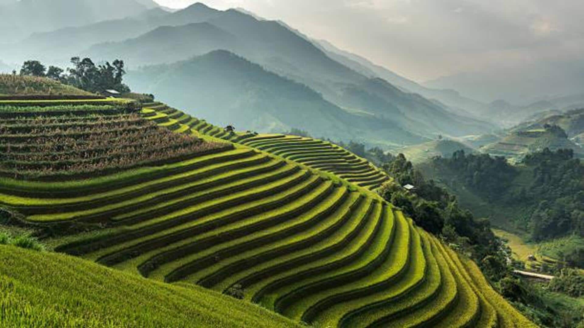 Trekking through Vietnam's rice terraces: A guide