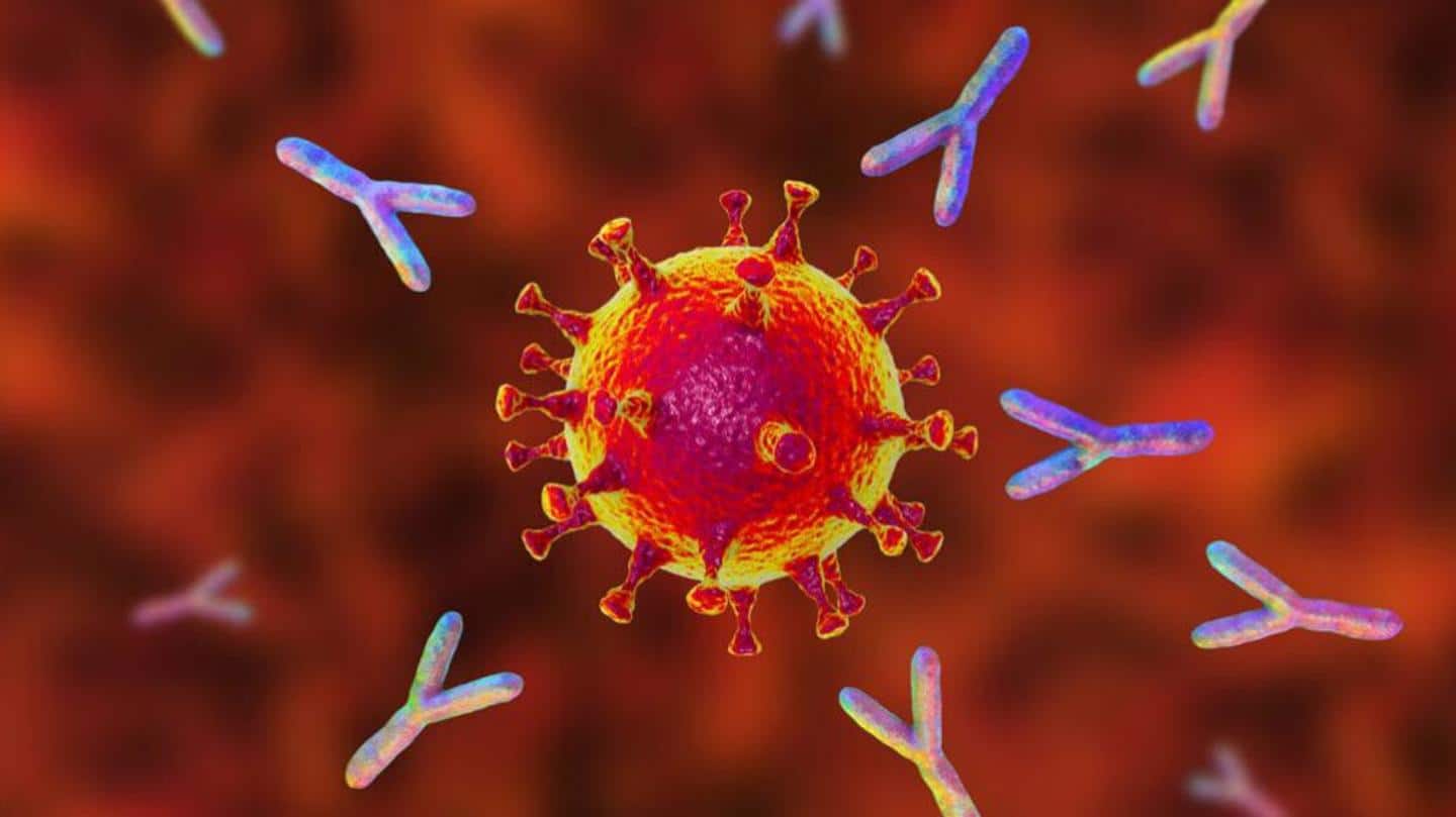 Neutralizing antibodies give relatively good protection against the Beta variant Neutralizing antibodies give relatively good protection against the Beta variant
