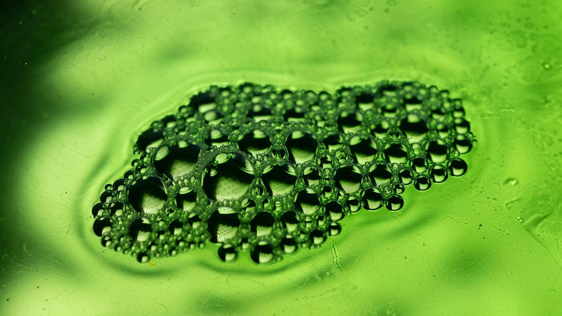 5 reasons chlorella is becoming a health favorite