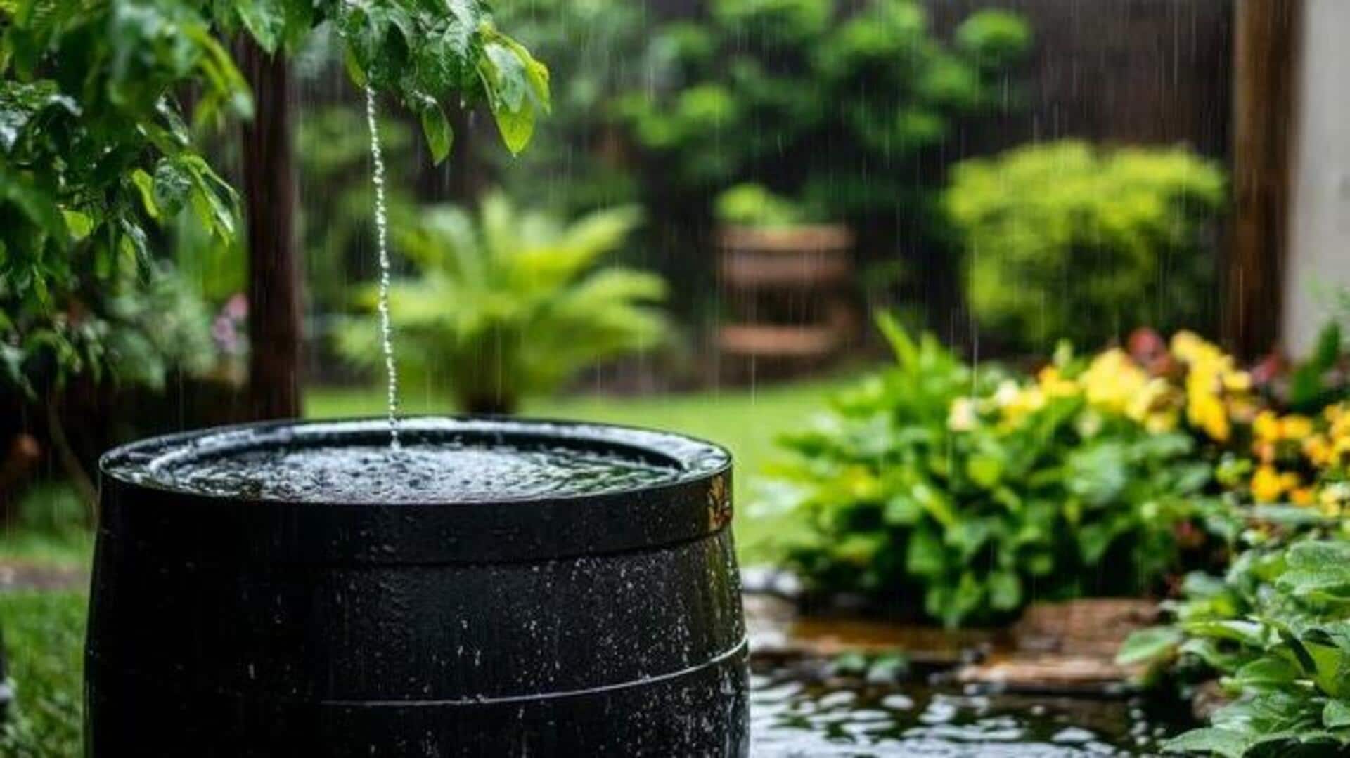 How to conserve water in your garden How to conserve water in your garden