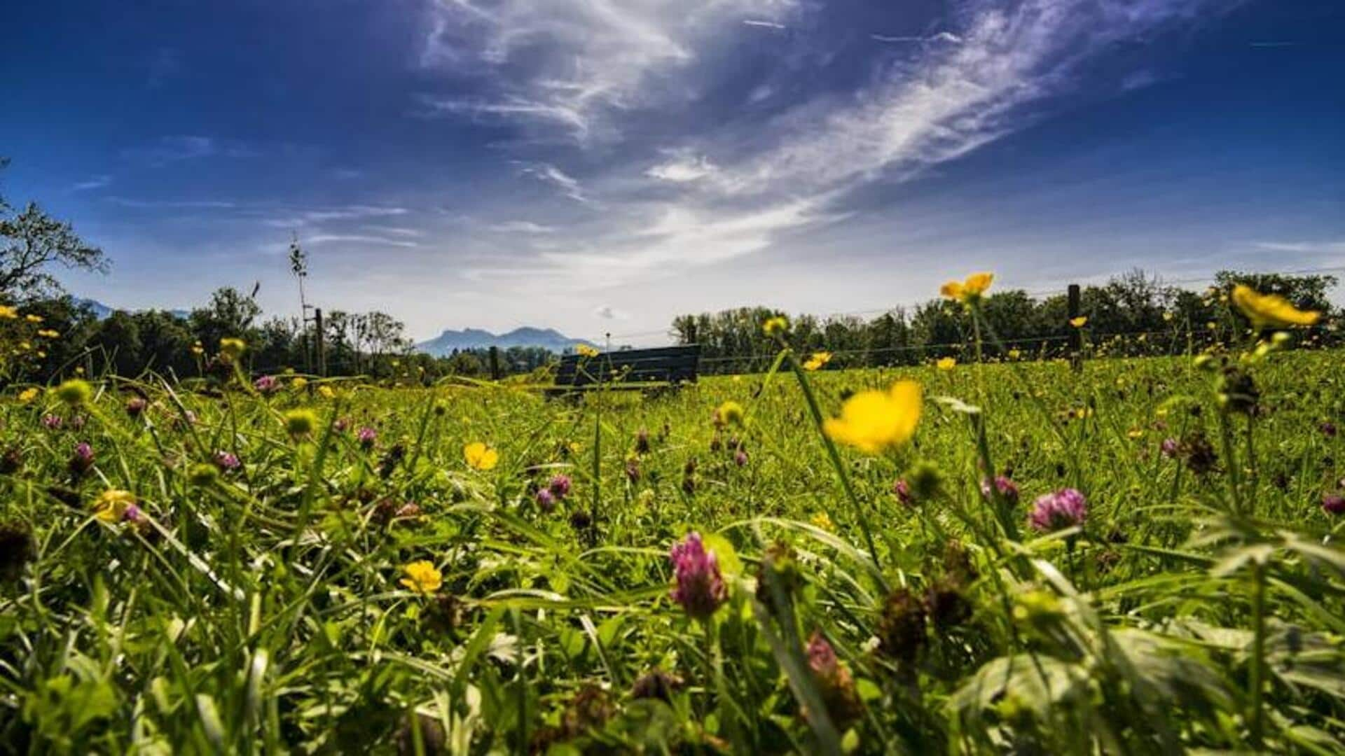 Discover Bavaria's fairytale villages with this travel guide