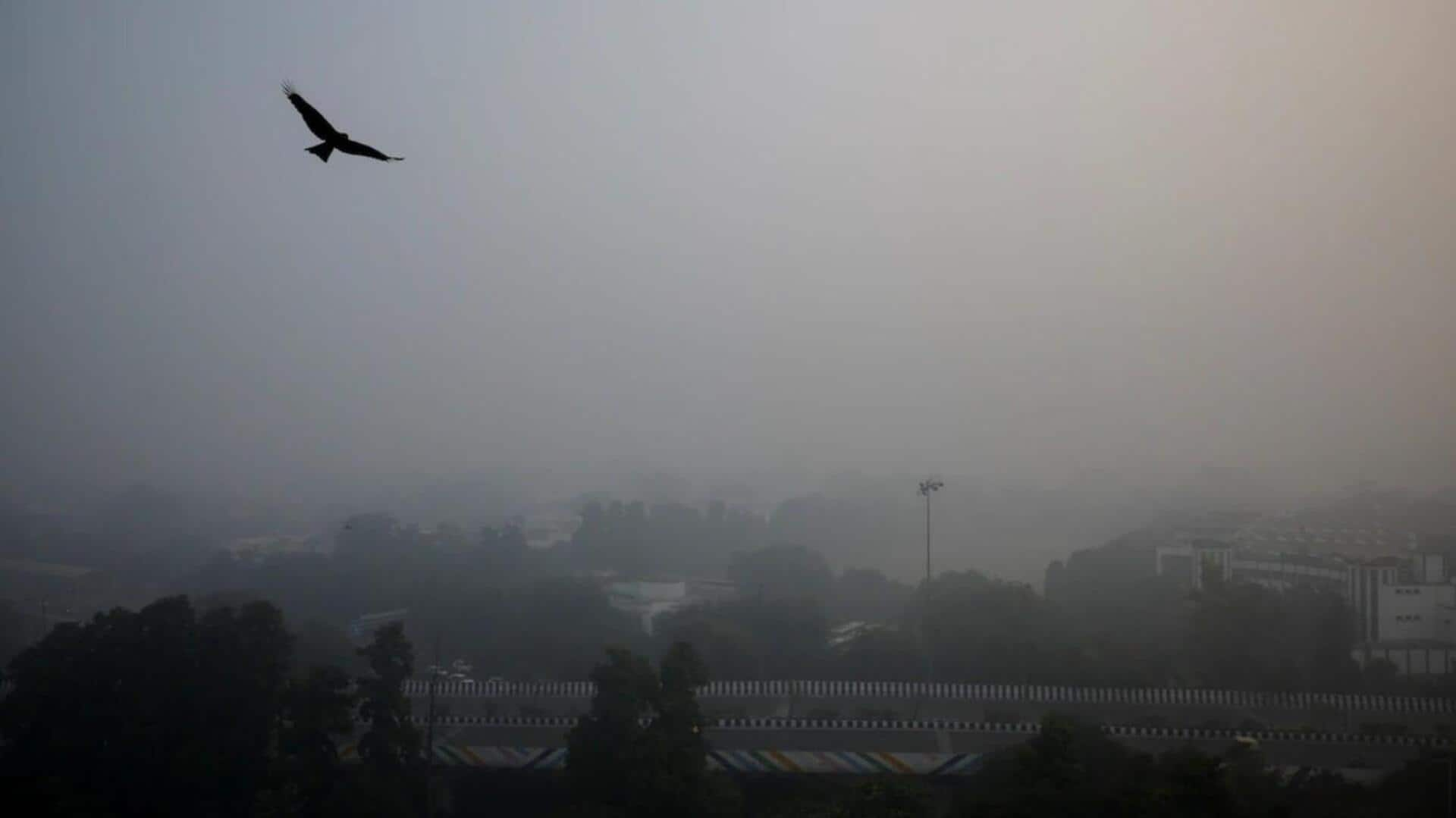 Delhi wakes up to season's worst air quality—at 481