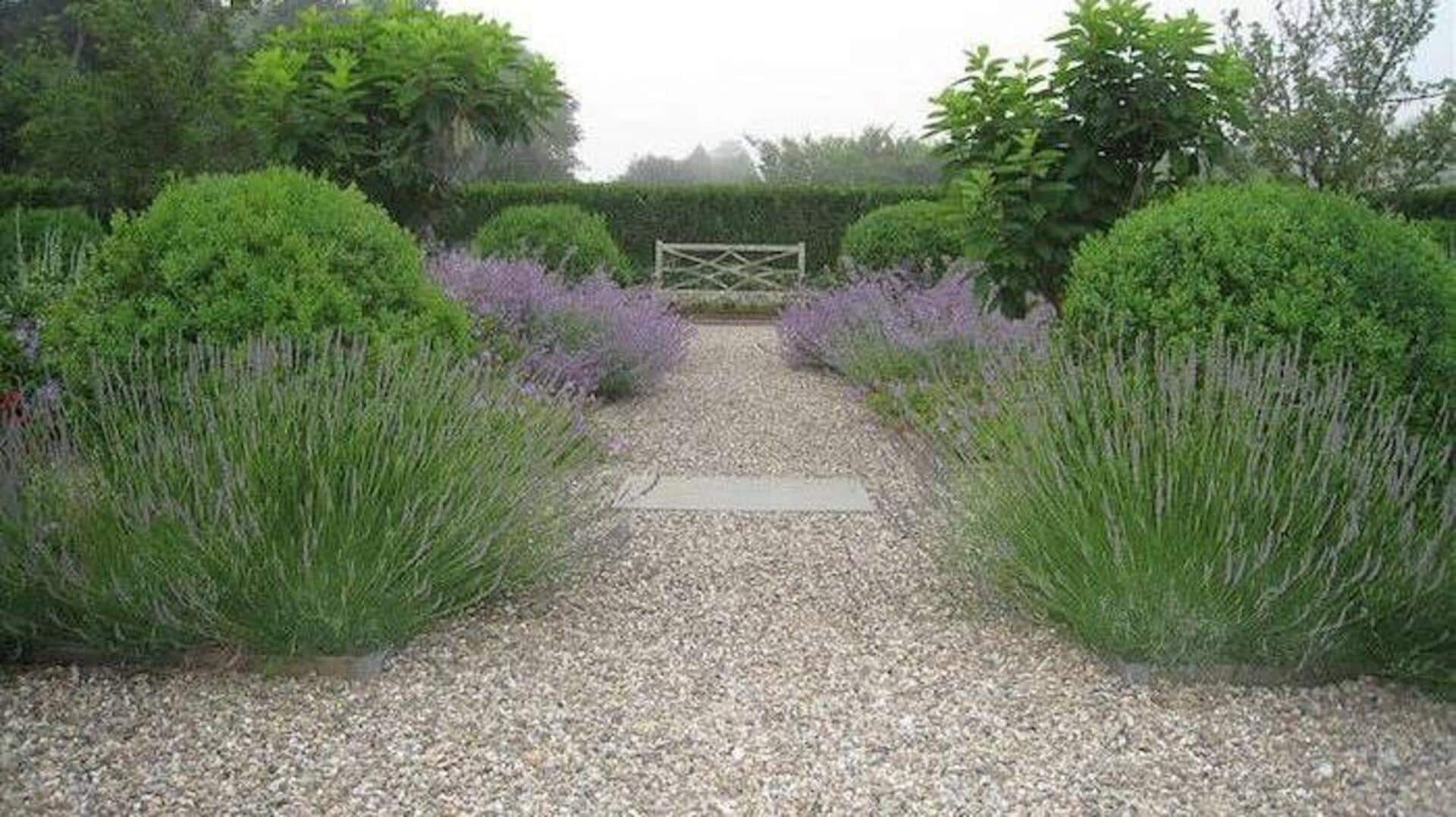 How to use crushed seashells in gardening