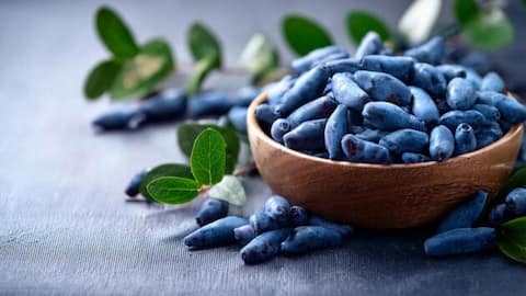 Amlok berry: The fruit you didn't know you needed