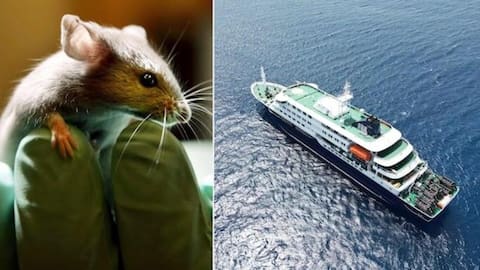 Hantavirus outbreak spreads to Europe as cruise returnee tests positive 
