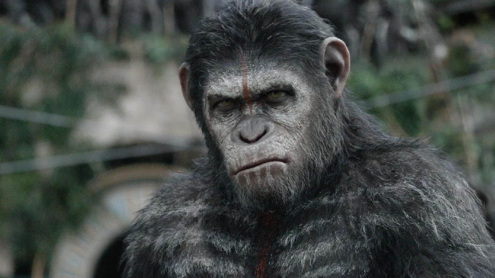 MCU director to helm new 'Planet of the Apes' film