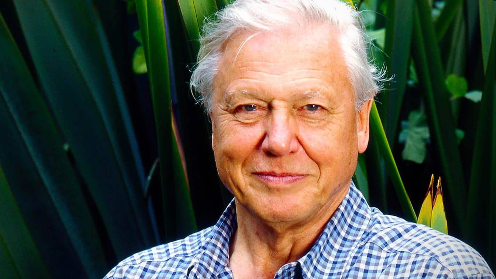 David Attenborough birthday special: 5 must-watch documentaries by natural historian