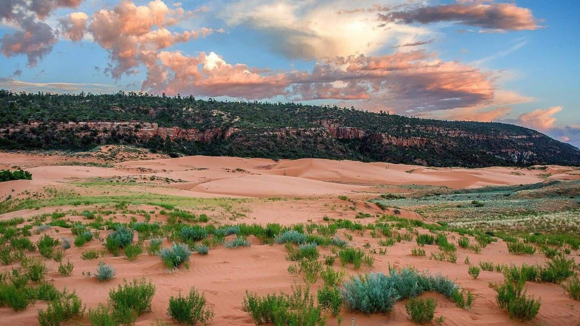 Explore Kanab, Utah's Coral Pink Sand Dunes State Park