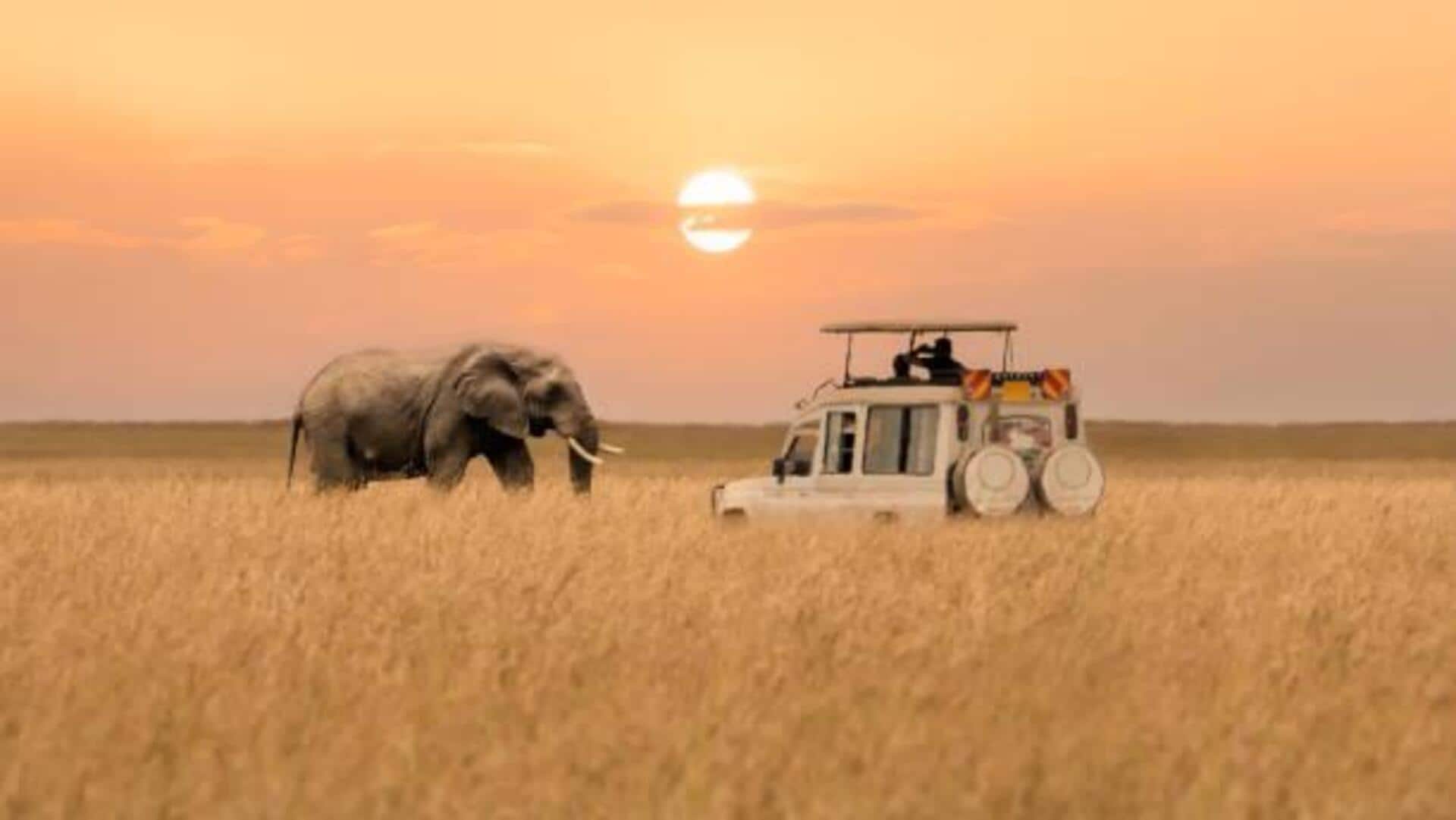 Traveling to Africa? Here's how to explore like a pro Traveling to Africa? Here's how to explore like a pro