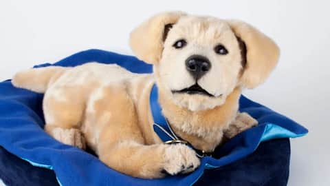 CES 2026: This robotic puppy can comfort anxiety, dementia patients
