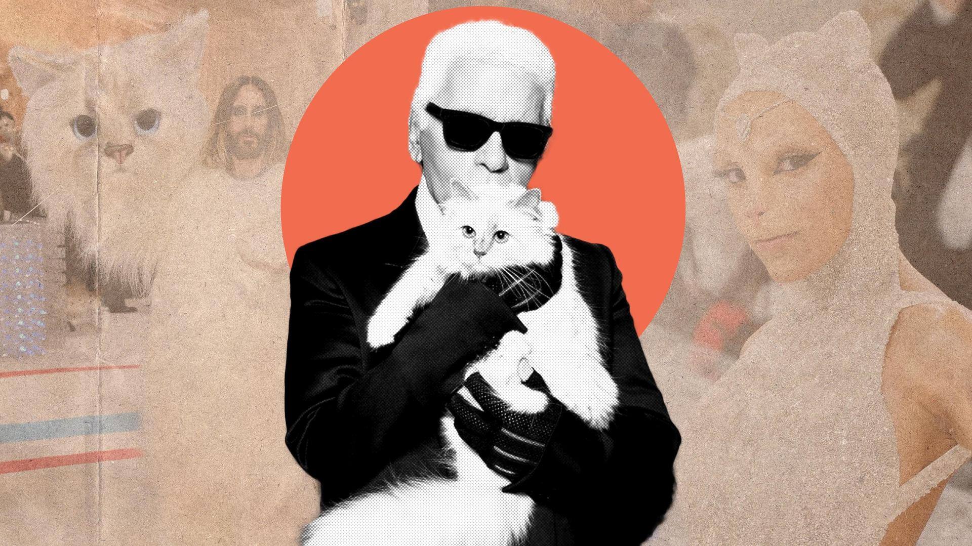 #MetGala2023: Why Lagerfeld's cat Choupette is ruling the red carpet