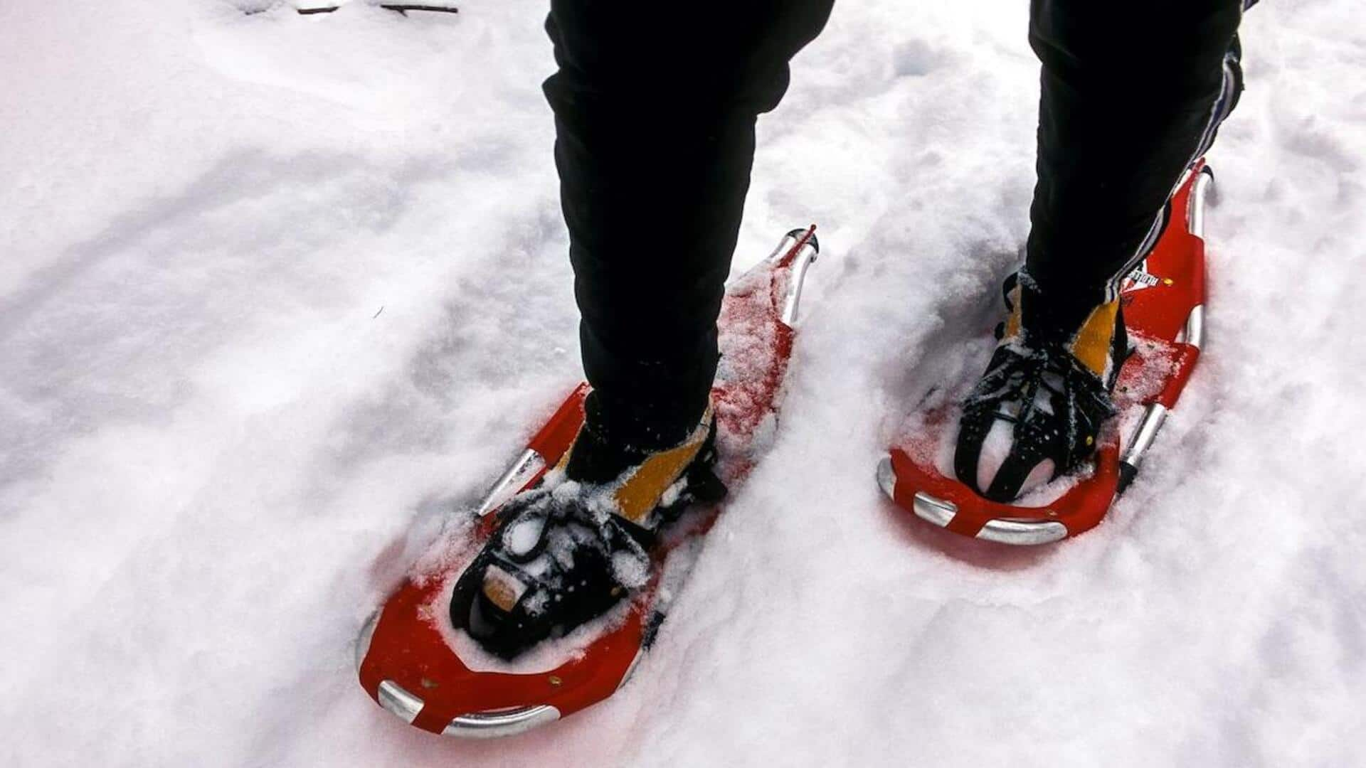 Embrace winter with snowshoeing