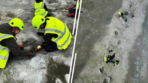 Massive 166-million-year-old dinosaur tracks discovered in Britain