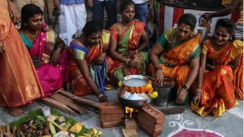 Pongal 2025: Know the significance of each day