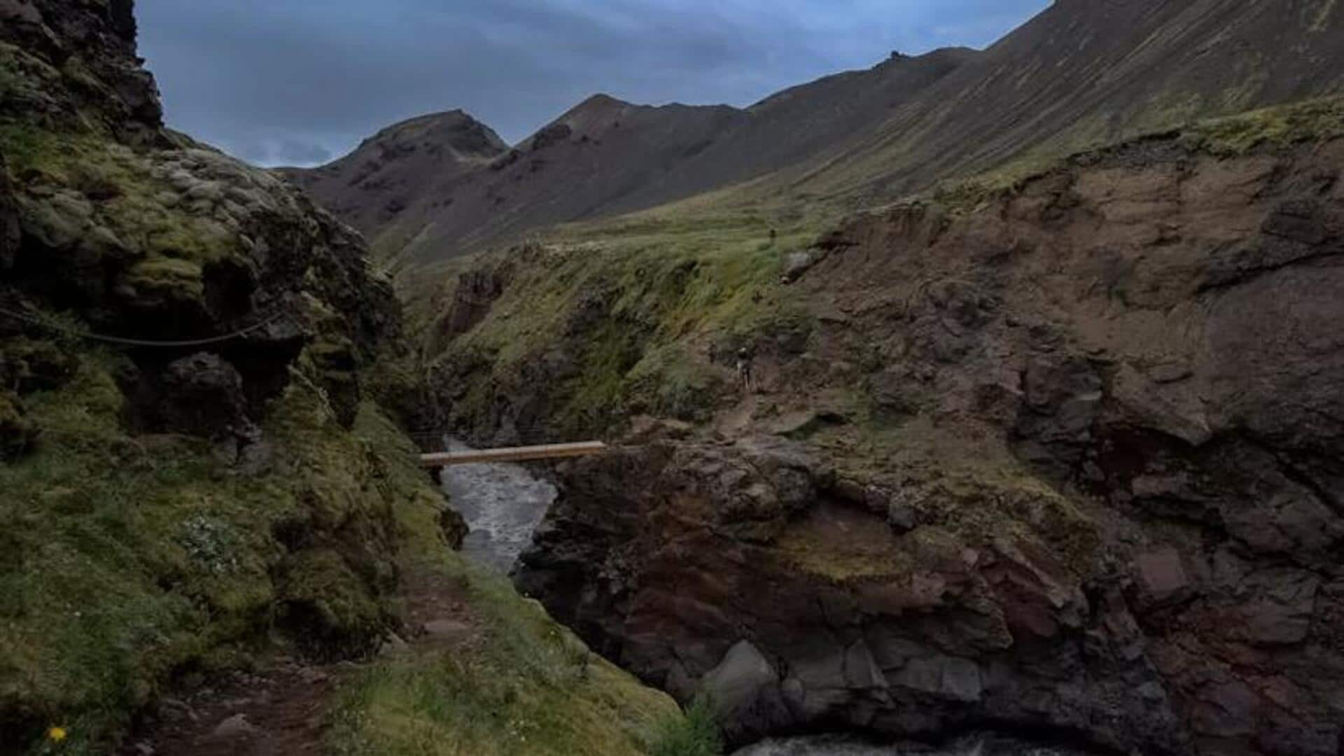 Discover Reykjavik's hidden nature trails