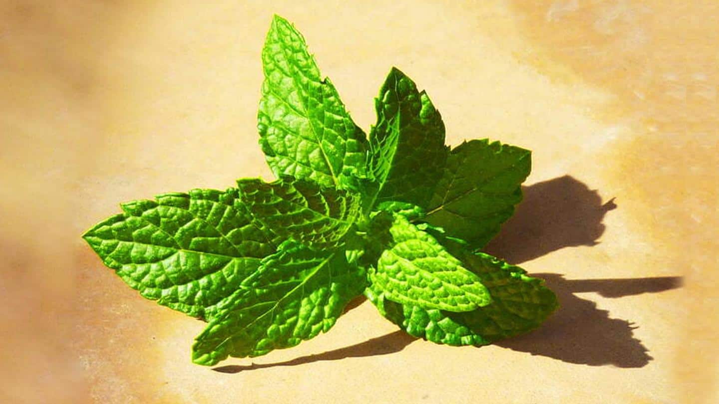 Some benefits of mint leaves (and 3 minty recipes)