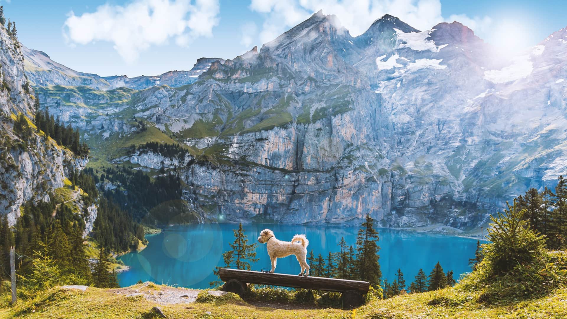Switzerland's alpine lakes: The country's best-kept secret