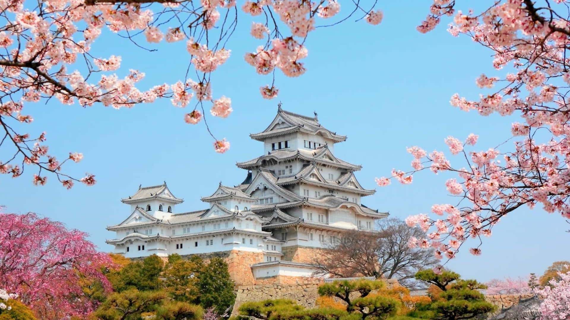 When in Japan, skip these spots (and see these)